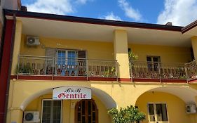 B&B Gentile